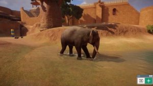 Planet Zoo Indian Elephant - Myers'Animal Entertainment Park