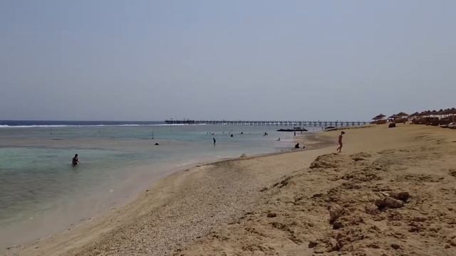Marsa Alam, Egypt. Pickalbatros SEAWORLD 🇪🇬