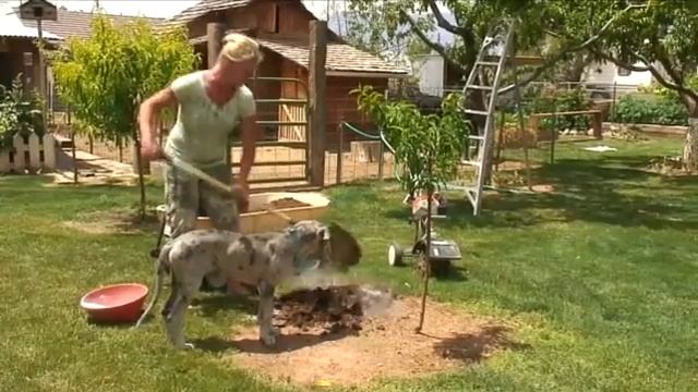 How to Break New Ground for a Garden смотреть онлайн