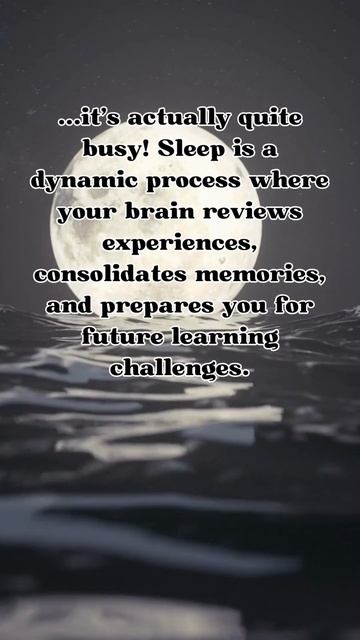Active Brain in Sleep #sleep #learn #memory #dream #neuropsychology #psychology смотреть онлайн