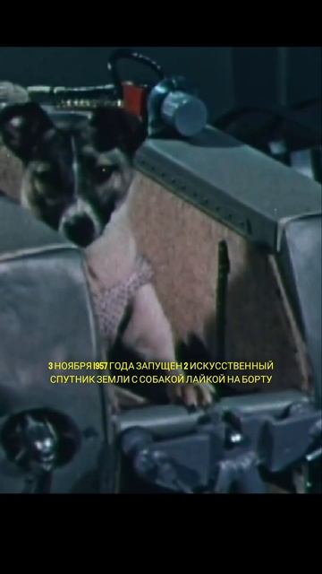 Кто ПРОЛОЖИЛ ПУТЬ в КОСМОС #shorts #short смотреть онлайн