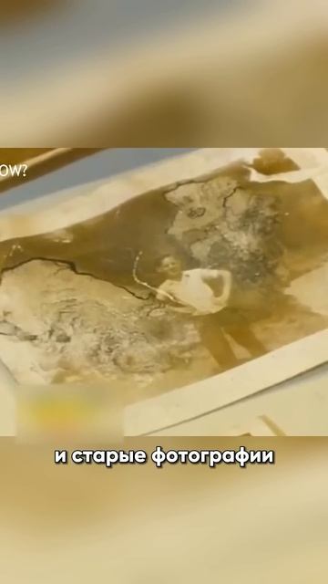 🙊👛 Этот Кошелёк Потеряли 70 Лет Назад смотреть онлайн