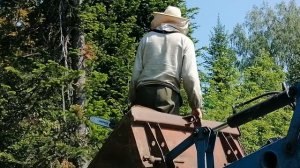 Собираем роя с пихты. Роение. Пасека на Алтае.