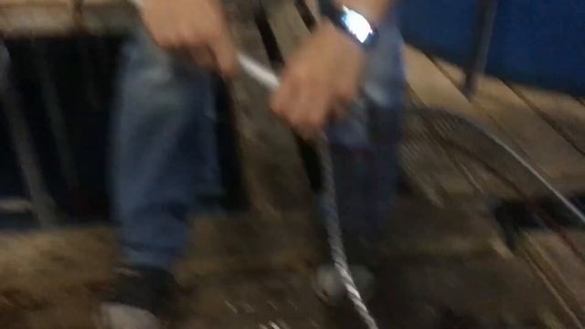 УЗВ/ ОСЕТРОВАЯ ФЕРМА/ ПРОДАЁТСЯ РЫБА/ ВЗВЕШИВАНИЕ. смотреть онлайн