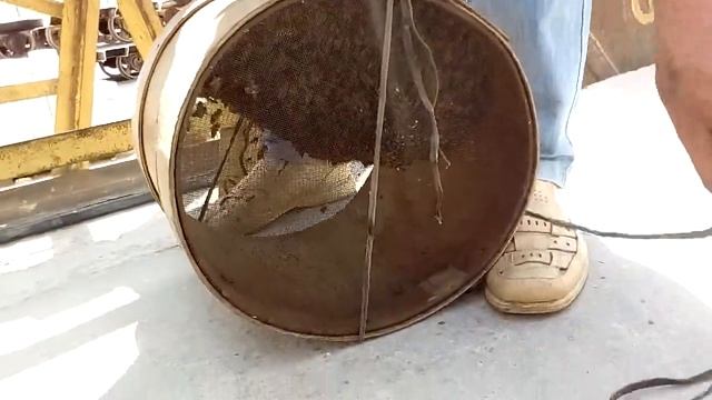 Словили рой пчел смотреть онлайн