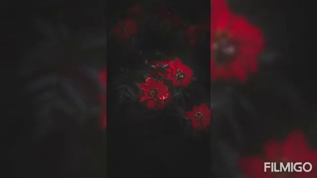 THE ARMOR, THE SHIELD AND THE SWORD ~ 🎶 "Periculum" by Revolt Production Music смотреть онлайн