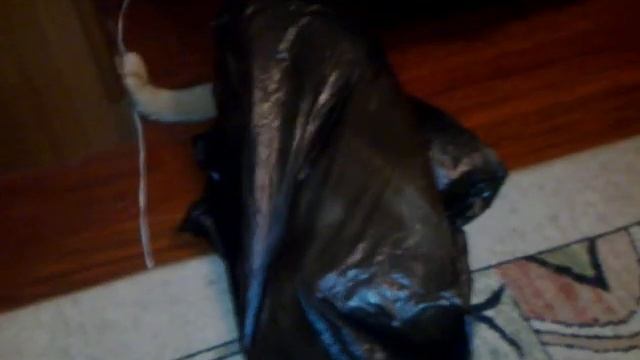 Марс (кот) в пакете.mp4 смотреть онлайн