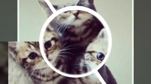 15 мая 2016 г. смотреть онлайн