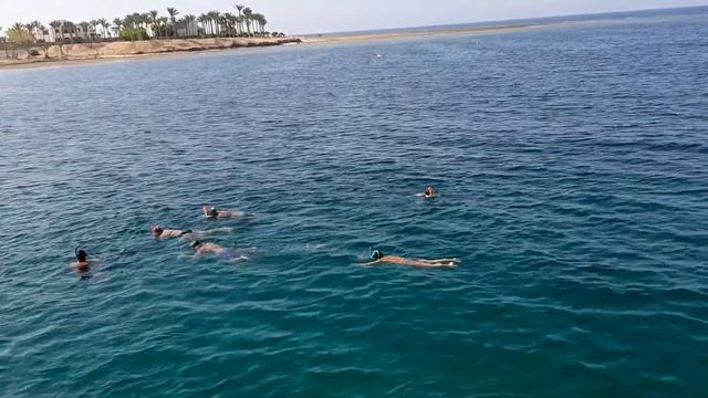 Šnorchlovací molo Brayka Ba Reef Resort , Marsa Alam , Egypt смотреть онлайн