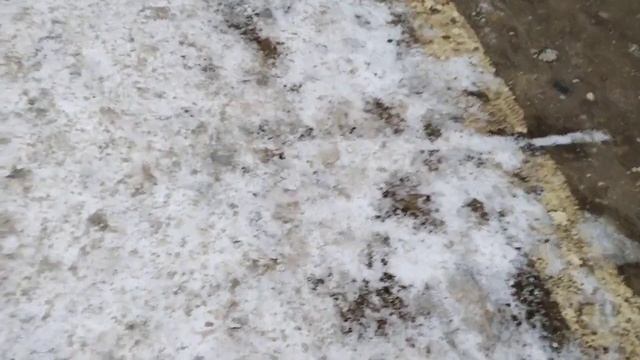 Две электрички (старая рублика) ЭД4М 0491 и ЭД2Т 0023. снято на станции: Балабаново 17.02.23 на ViV смотреть онлайн