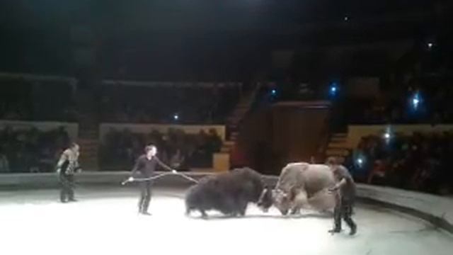 video 2016 10 16 14 06 47 смотреть онлайн