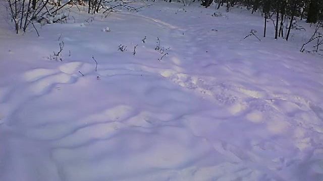 Солнечные пятна 25 Feb 2017 sunpots смотреть онлайн