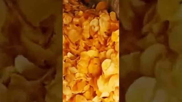 Завод чипсов смотреть онлайн