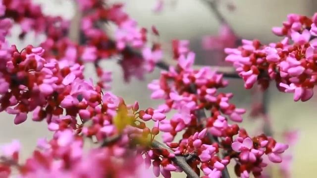 Подслушав разговор мужа, Маша решила действовать... смотреть онлайн