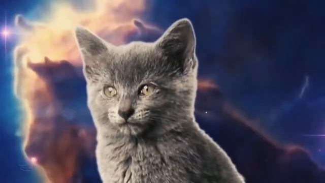 Котята поющие в космосе смотреть онлайн