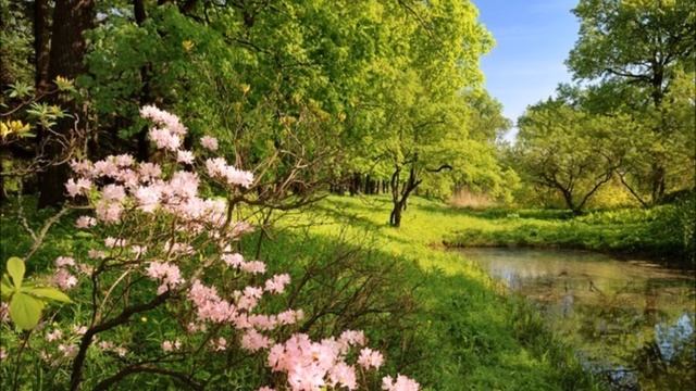Paul Mauriat - Penelope смотреть онлайн
