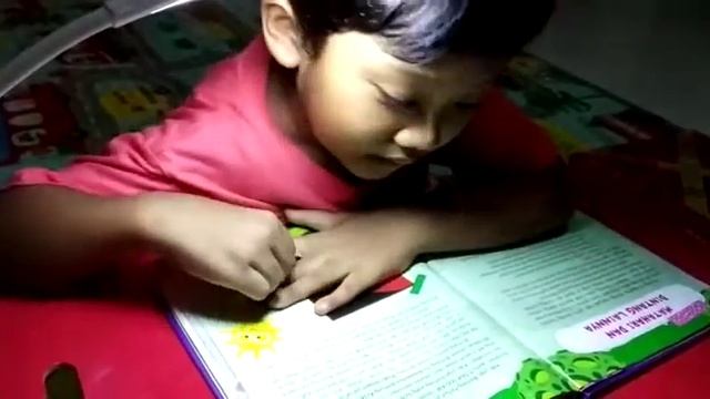ANAK TK BACA BUKU ASTRONOMI-BINTANG SIRIUS, ALDEBARAN / KINDERGARTEN KID READING ASTRONOMICAL BOOK смотреть онлайн