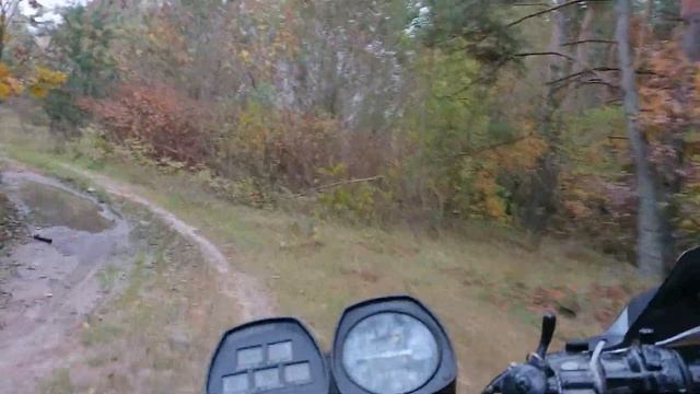 Ломаю "ИЖ ПЛАНЕТУ". Упавшее дерево. смотреть онлайн