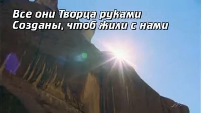Знаешь ли ты смотреть онлайн