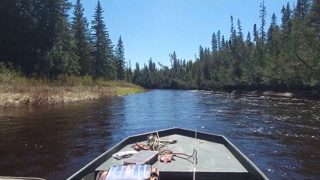 25hp Mercury outboard jet on a 16/48 jon boat going up one of the creeks on Albany River смотреть онлайн