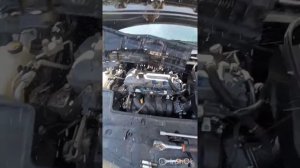 Антифриз в цилиндре.