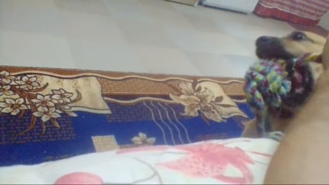 Завтра выходной. смотреть онлайн