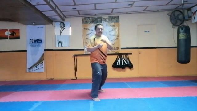 Video 8 chagi 1 cambiando смотреть онлайн