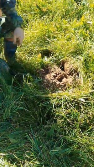 ХОРОШАЯ НАХОДКА В ПОЛЕ