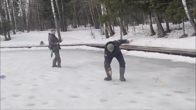 Запуск и первые поимки форели. Рыбалка на Спорт-зоне. Клёвое место Лосиный остров. смотреть онлайн
