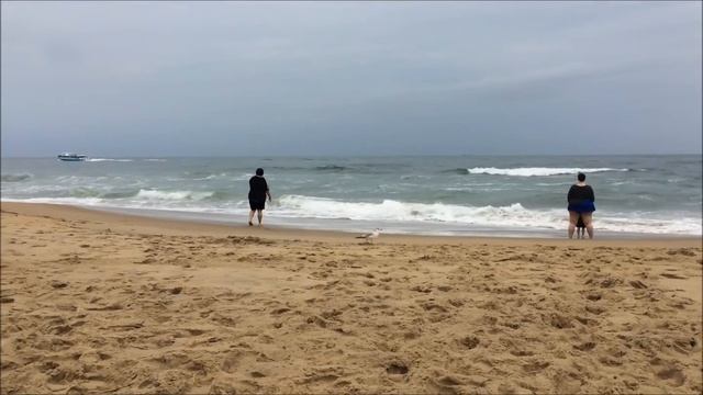 BEACH смотреть онлайн