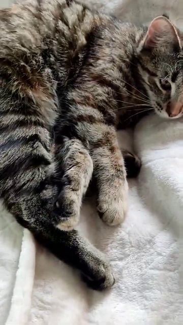 Ягою пугают детишек смотреть онлайн