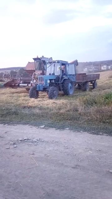 Комбайн зернозбиральний НИВА СК-5 М-1 НА ПТС-2 смотреть онлайн