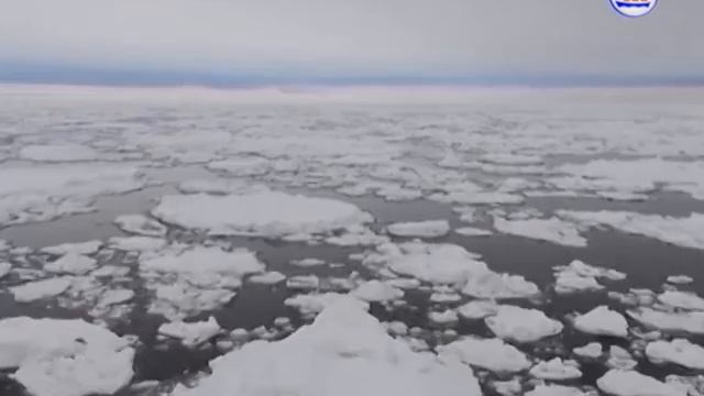 25 12 2016 7 дней в регионе смотреть онлайн