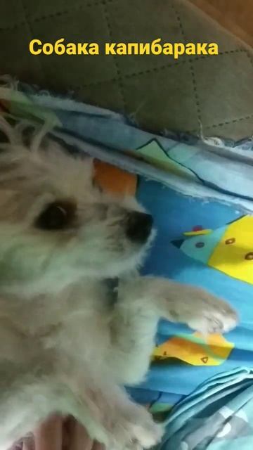 29 марта 2023 г. смотреть онлайн