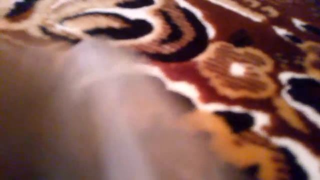 У нас вот тут вот тут такой вот фотапарат!!!!11!111!11!!!! смотреть онлайн