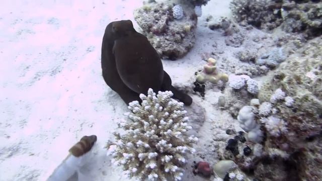 Trip To Marsa Shagra Village - August 2011