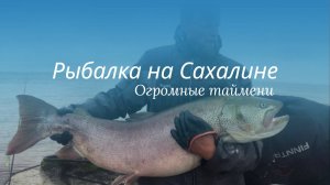 Рыбалка на трофейного тайменя. Сахалин. Эко-лагерь «Набиль Бэй»