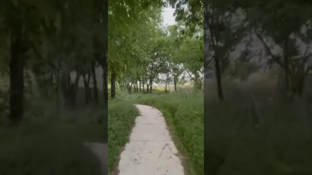 Новый курс Мобильный видеограф от Легендарного Фотофакулььета смотреть онлайн