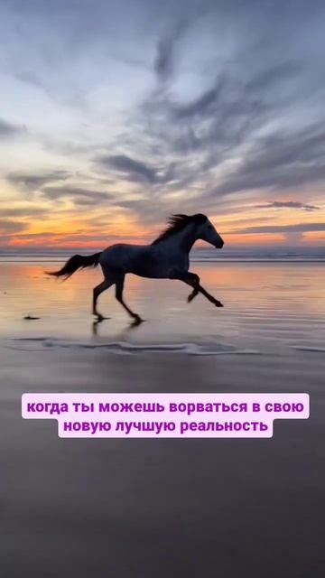 ⚡️Коридор затмений 25.03 - 8.04 ⚡️