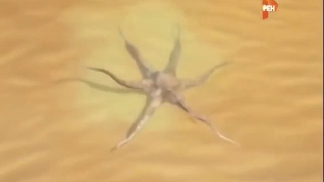 ШОК! РЕАЛЬНЫЕ СЪЁМКИ НЛО МИР В ШОКЕ ДОКУМЕНТАЛЬНЫЕ ФИЛЬМЫ ПРАВДА ОБ НЛО