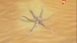 ШОК! РЕАЛЬНЫЕ СЪЁМКИ НЛО МИР В ШОКЕ ДОКУМЕНТАЛЬНЫЕ ФИЛЬМЫ ПРАВДА ОБ НЛО