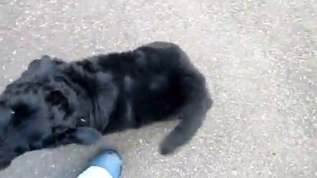 мурашка улица 53 дня 14 смотреть онлайн