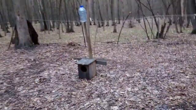 Капище Велеса на Пасху смотреть онлайн