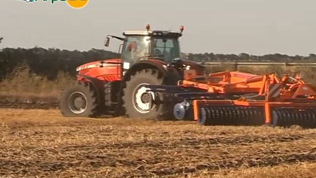Massey Ferguson Days