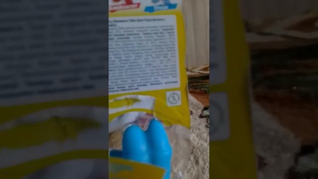 новый гуджитсу тайро