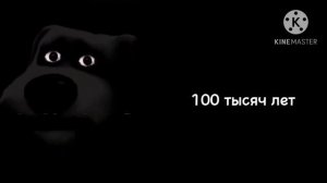 Сколько осталось до лета: