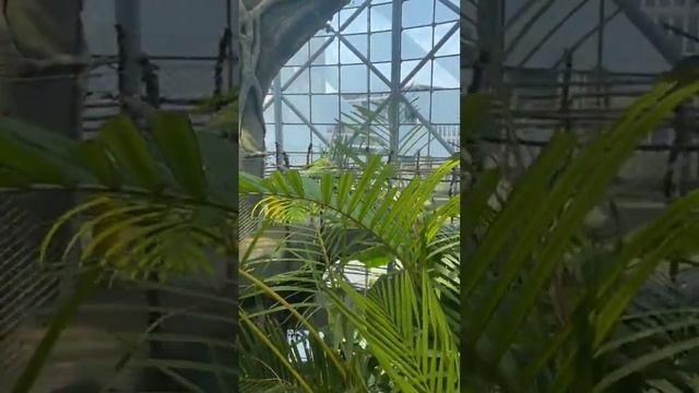 Green Planet Dubai - Region’s First Bio-Dome / Indoor Rainforest смотреть онлайн