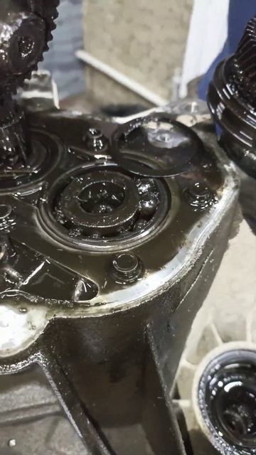 #шокконтент #трэш 🥵 #Дефектовка 5ст.МКПП #golfplus ☎️+7(980)3058082 #octavia #jetta #caddy #rapid смотреть онлайн