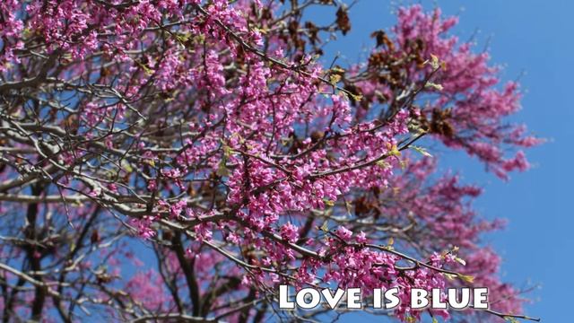 Love Is Blue - Paul Mauriat 1968 Clean Sound