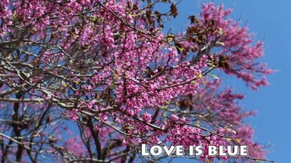 Love Is Blue - Paul Mauriat 1968 Clean sound